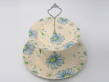 Party Cake Tray