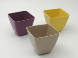 Flower Pot